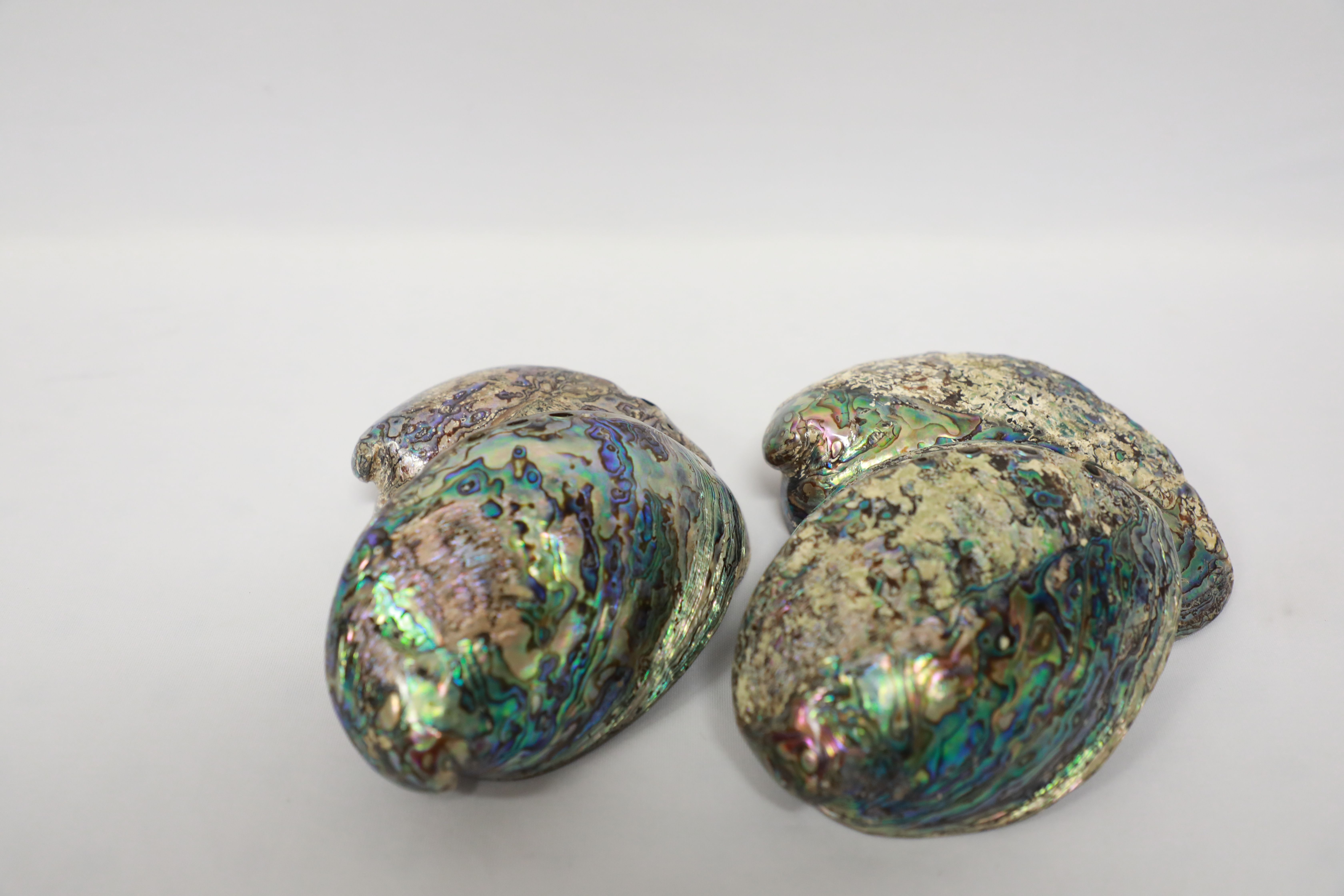 Paua shell polish & polish w/ skin